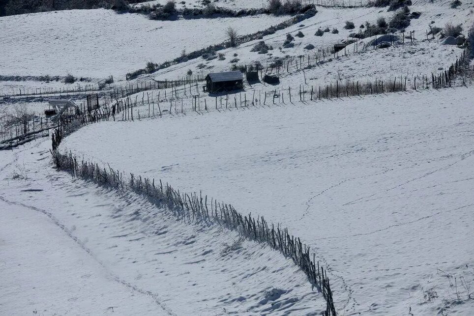 تصاویری زیبا از برف در جاده چالوس و فیروزکوه | سوادکوه بازهم عروس شد