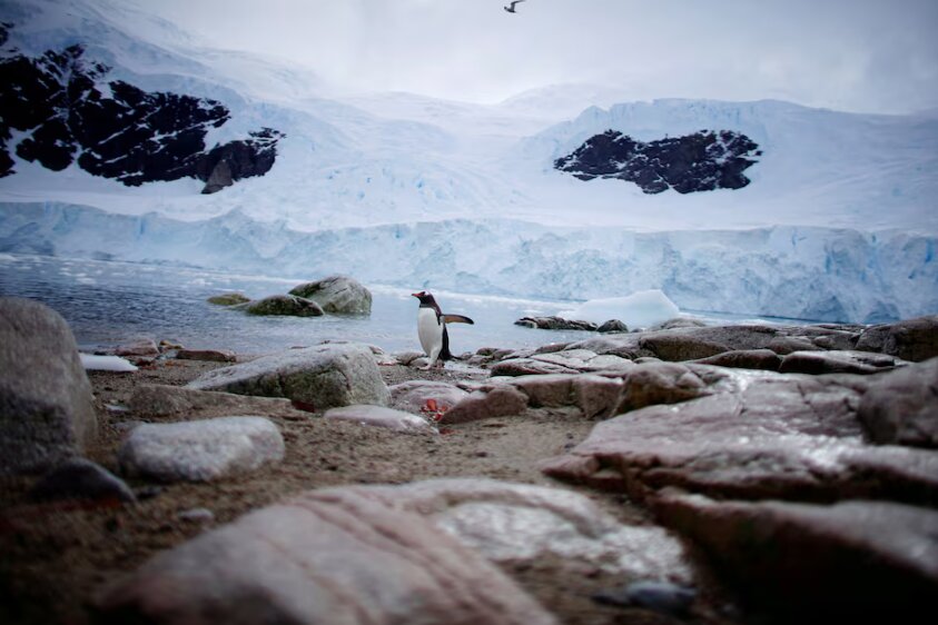چهره واقعی جنوبگان از زیر لایه‌های یخ پیدا شد