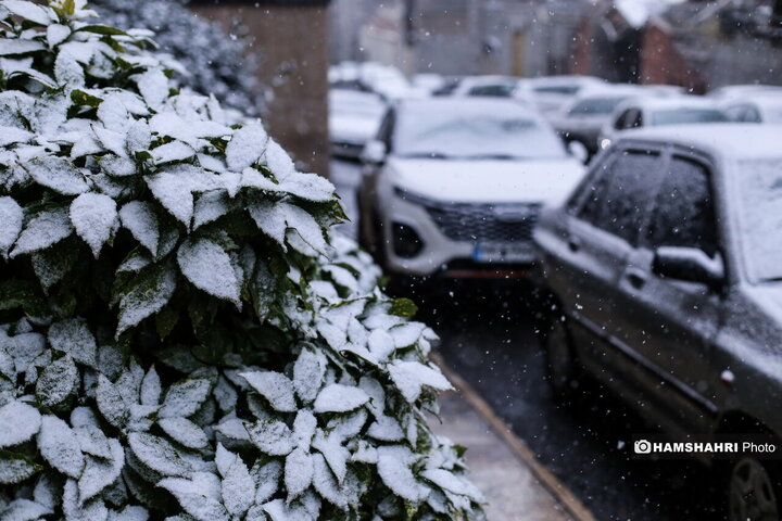بارش برف در تهران