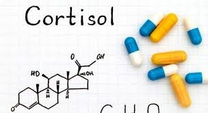 شکم کورتیزول