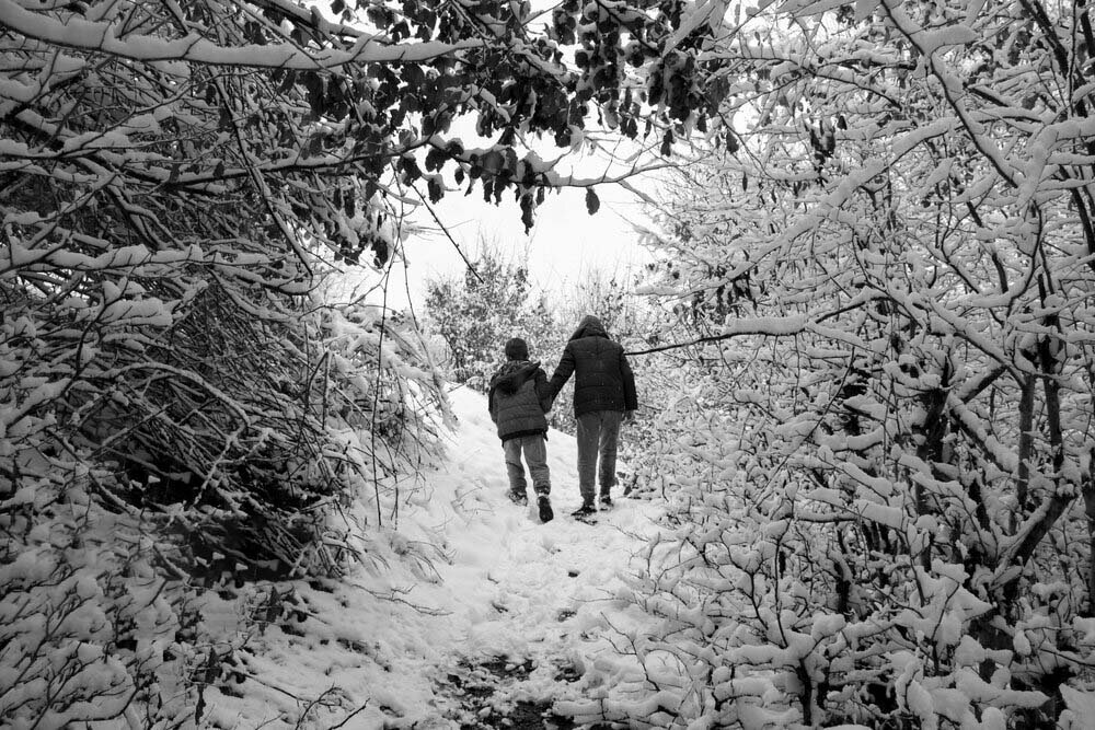 همشهری آنلاین – تصاویر کارت پستالی از سفیدی برف و عناصر تیره طبیعت در این استان شمالی