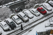 بارش برف و باران در  ۳۱ استان | کولاک برف در این مناطق  