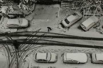 برف و باران در ۲۲ استان | دمای هوا در این مناطق افزایشی شد