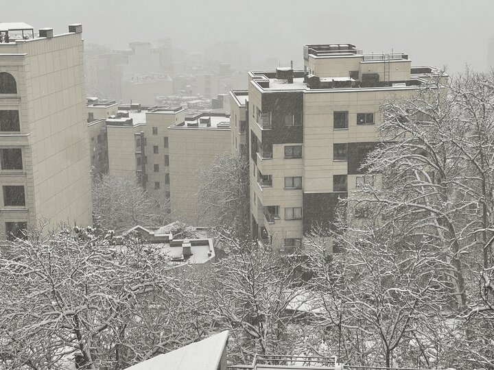 برف ۲۰ سانتی‌متری شمال تهران را پوشاند + تصاویر
