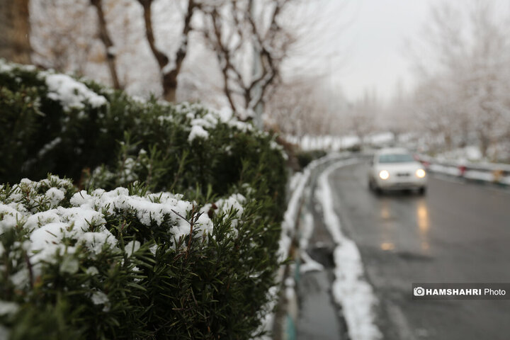 بارش برف زمستانی در تهران
