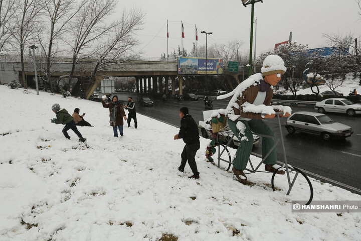بارش برف زمستانی در تهران