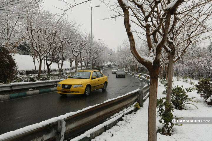 بارش برف زمستانی در تهران