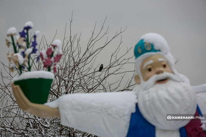 بارش برف زمستانی در تهران