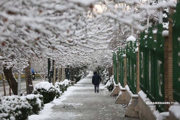 بارش برف زمستانی در تهران