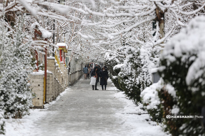 بارش برف زمستانی در تهران