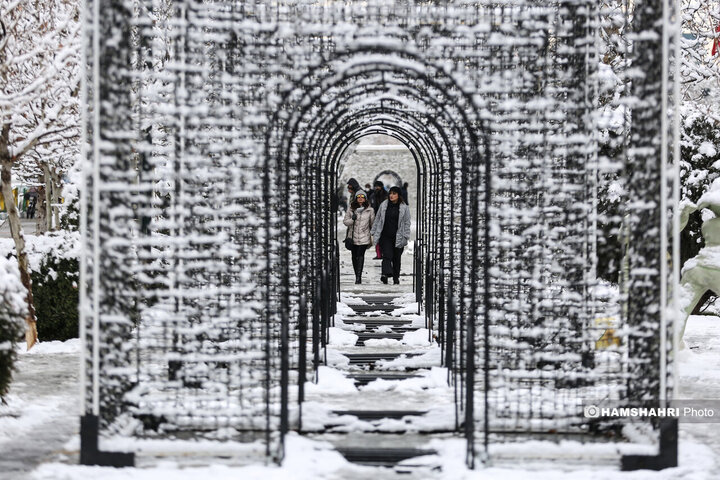 بارش برف زمستانی در تهران