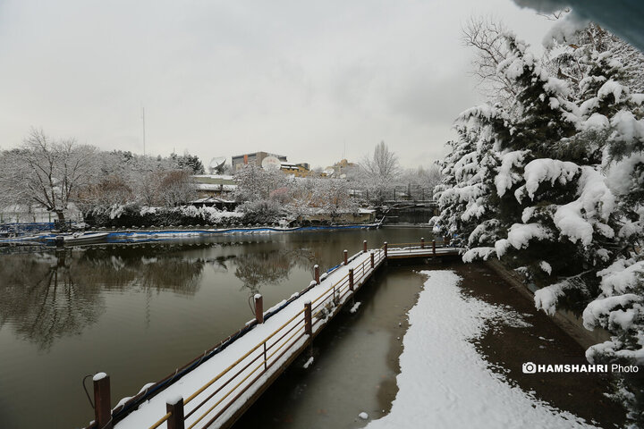 بارش برف زمستانی در تهران