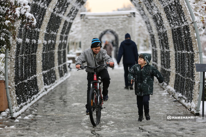 بارش برف زمستانی در تهران