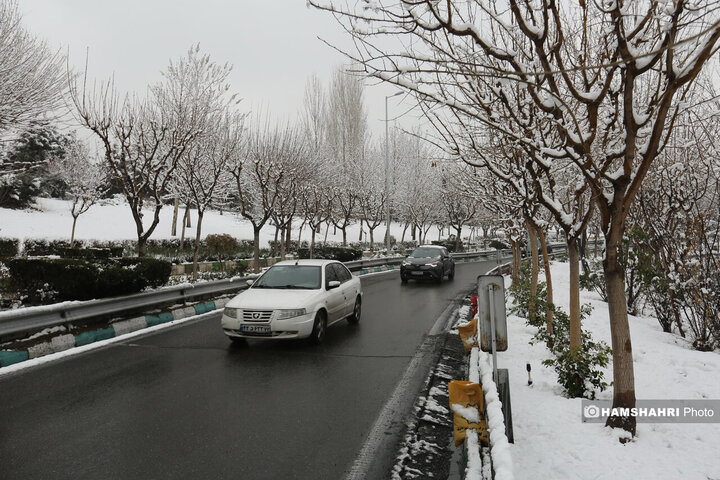 بارش برف زمستانی در تهران