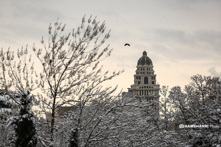 بارش برف زمستانی در تهران