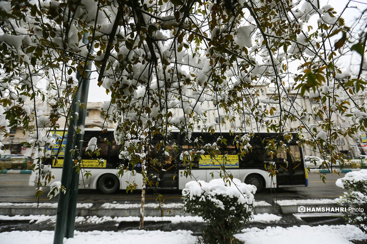 بارش برف زمستانی در تهران