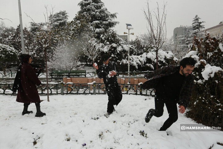 بارش برف زمستانی در تهران