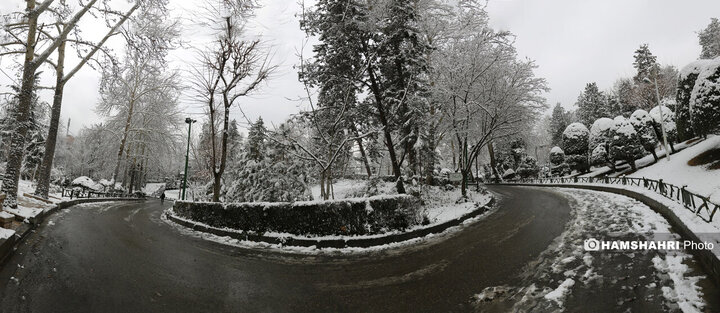 بارش برف زمستانی در تهران