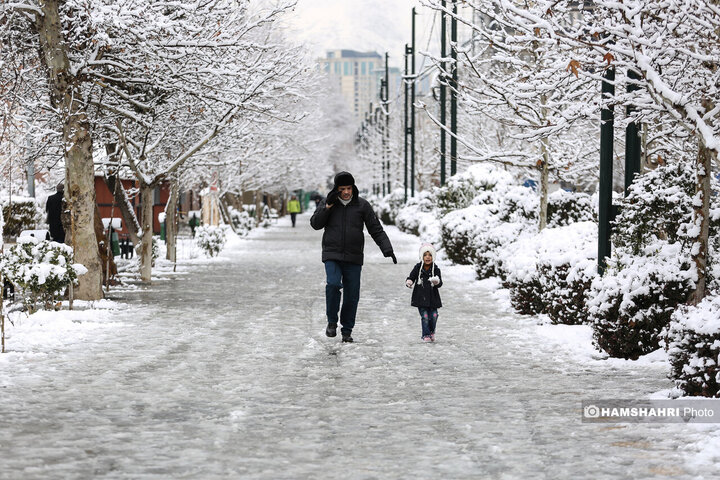 بارش برف زمستانی در تهران