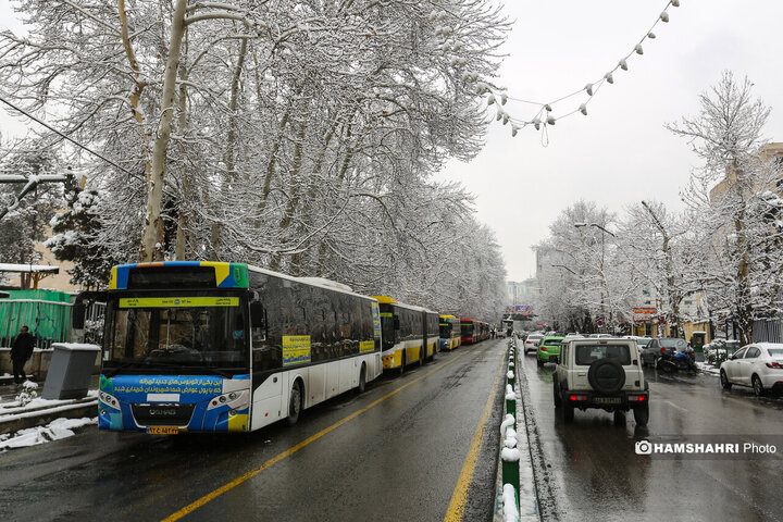 بارش برف زمستانی در تهران