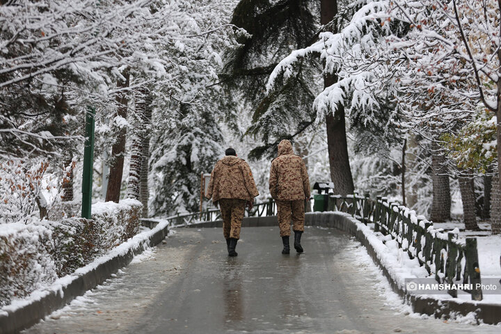 بارش برف زمستانی در تهران