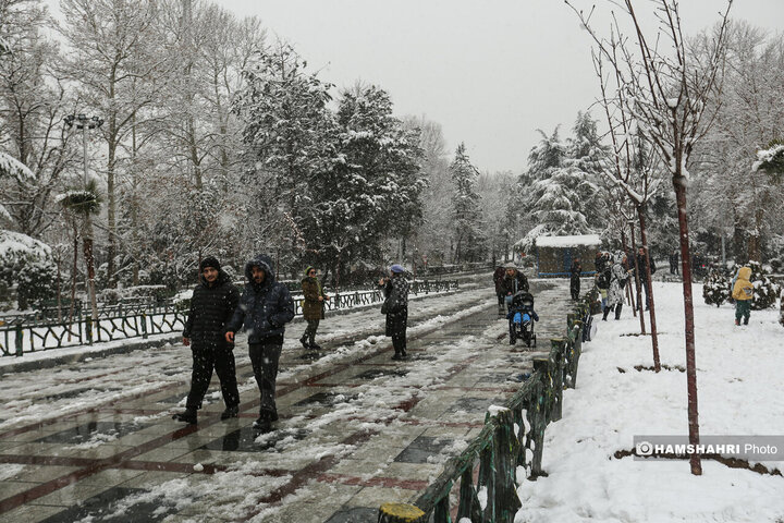 بارش برف زمستانی در تهران