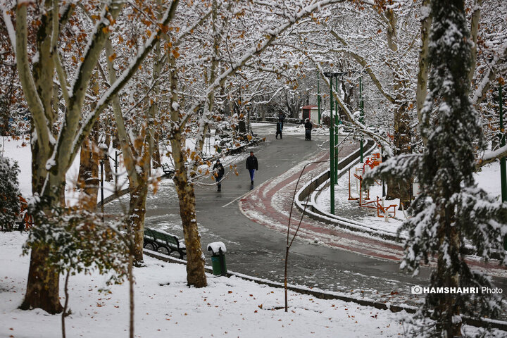 بارش برف زمستانی در تهران