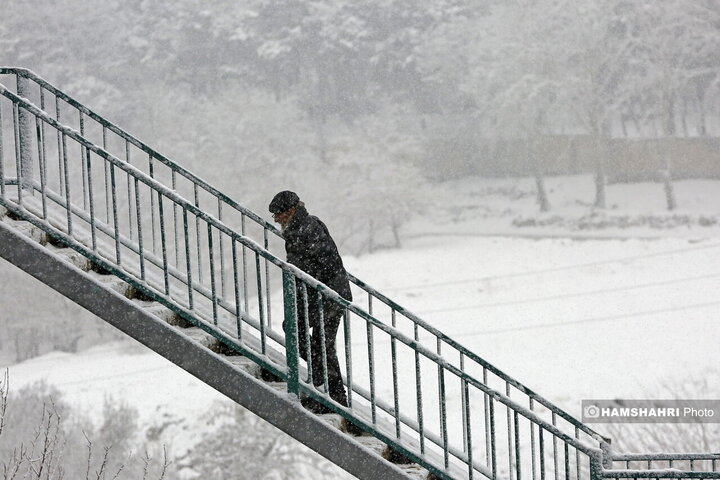 روز برفی تهران
