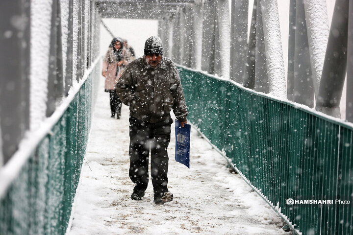روز برفی تهران