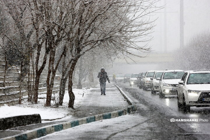 روز برفی تهران