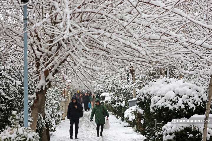 روز برفی تهران