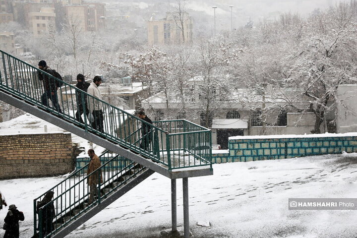 روز برفی تهران