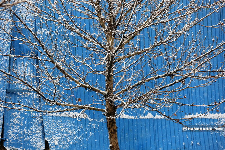 روز برفی تهران