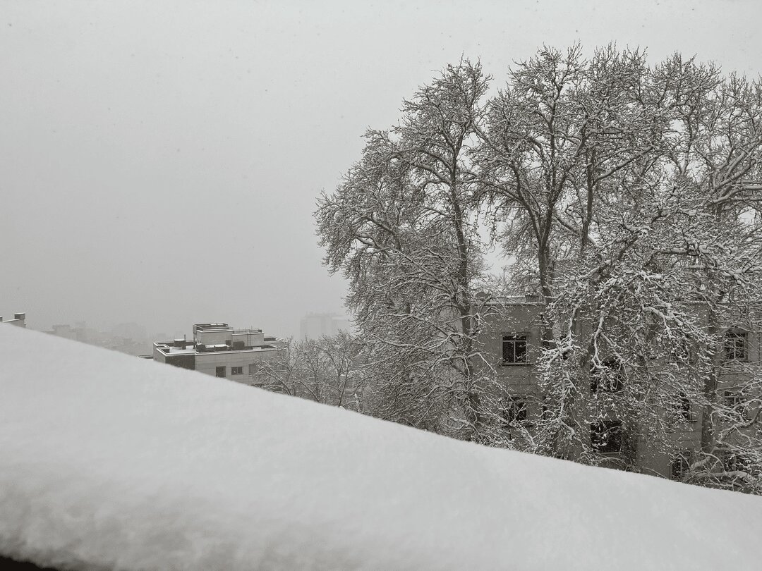 برف ۲۰ سانتی‌متری در تهران+ تصاویر