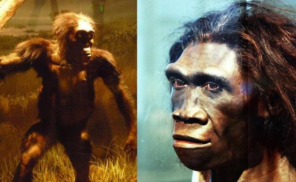 ترید آف سرنوشتساز؛ اسرار پوست برهنه انسان اولیه برای برخورداری از مغز بزرگتر
