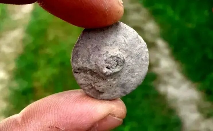 کشف گاوهای ۲۷۰۰ ساله در اوکراین | عکس