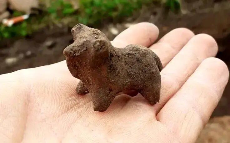 کشف گاوهای ۲۷۰۰ ساله در اوکراین | عکس