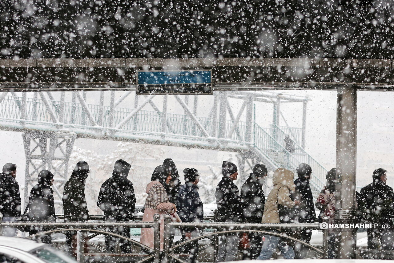 آفتاب نو – روز برفی تهران ۳