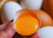 آیا تخم مرغ باید زیاد پخته شود؟