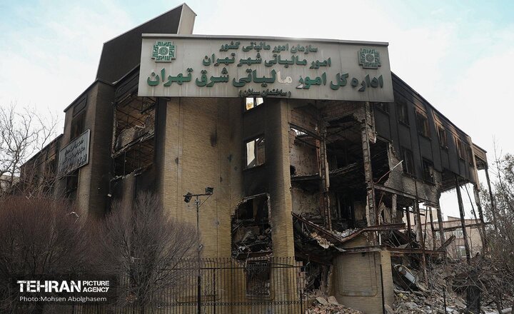 بازدید