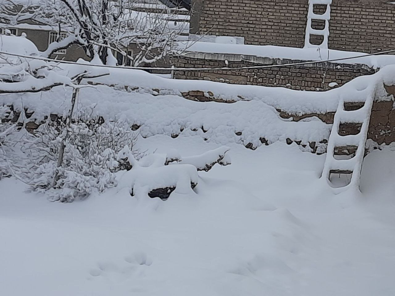 برف در ابهر