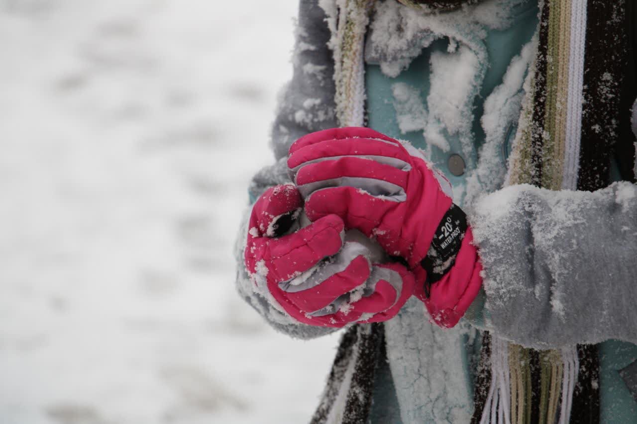 قاب های برفی زیبا از تهران | تصاویر