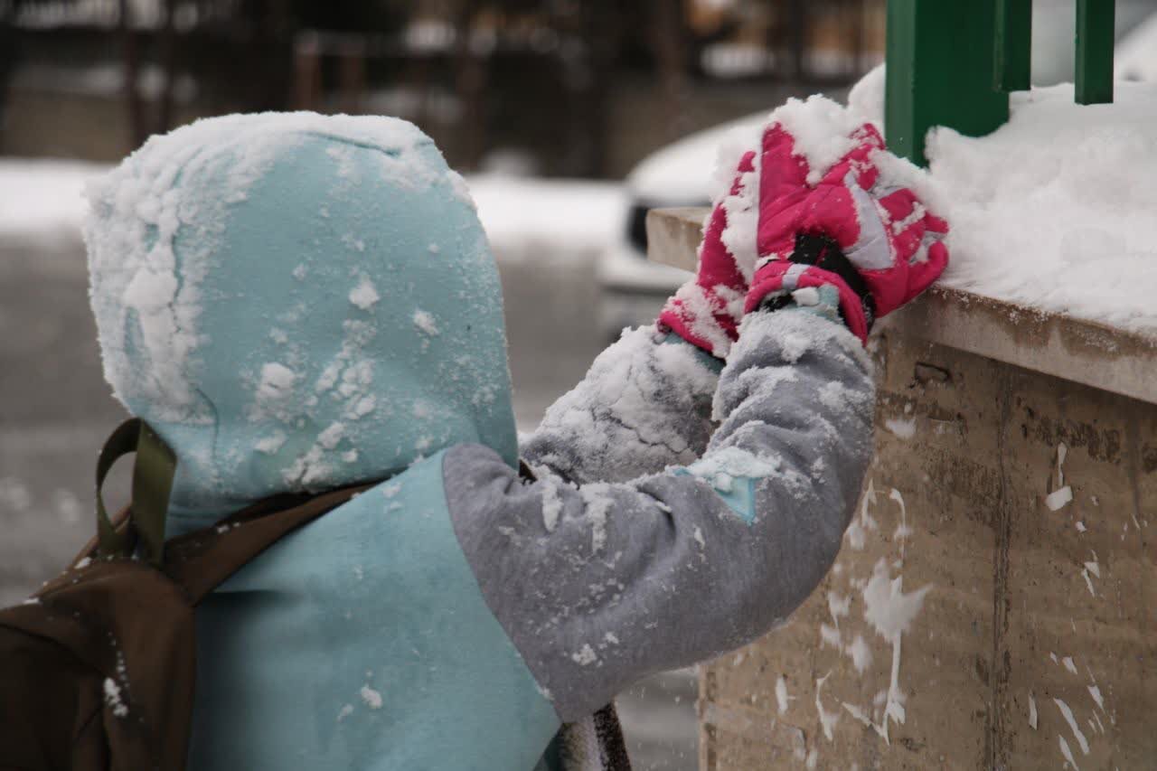قاب های برفی زیبا از تهران | تصاویر
