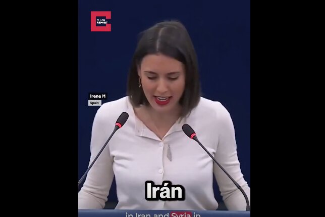 ایرن مونترو» نماینده اسپانیایی پارلمان اروپا