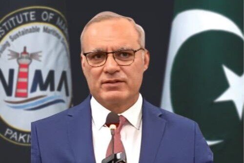 سید فیصل علی شاه