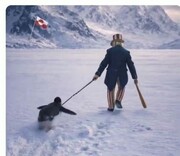 پاسخ  به «توهمات پنگوئنی» کاخ سفید! | ببینید