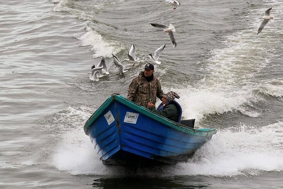 میهمانان سپید انزلی را بینید