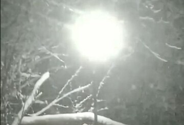 هم اکنون بارش برف شدید در این شهر گرمسیری ایران؛ جاده ییلاقات در حال بسته شدن است!