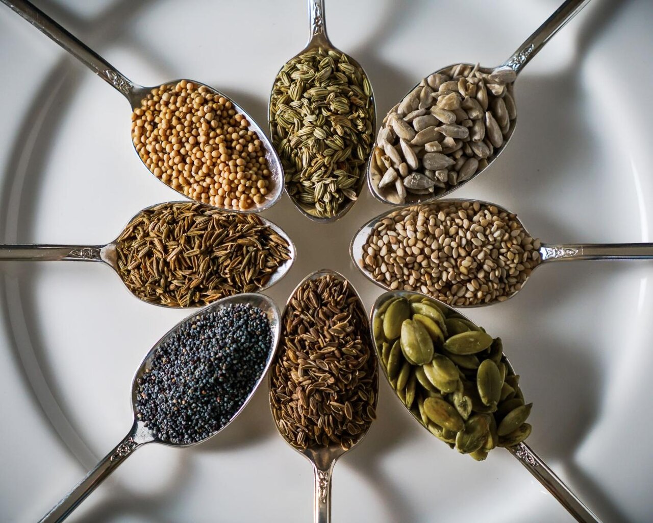 ۹ دانه ای که از خوردن آنها نباید غافل شوید