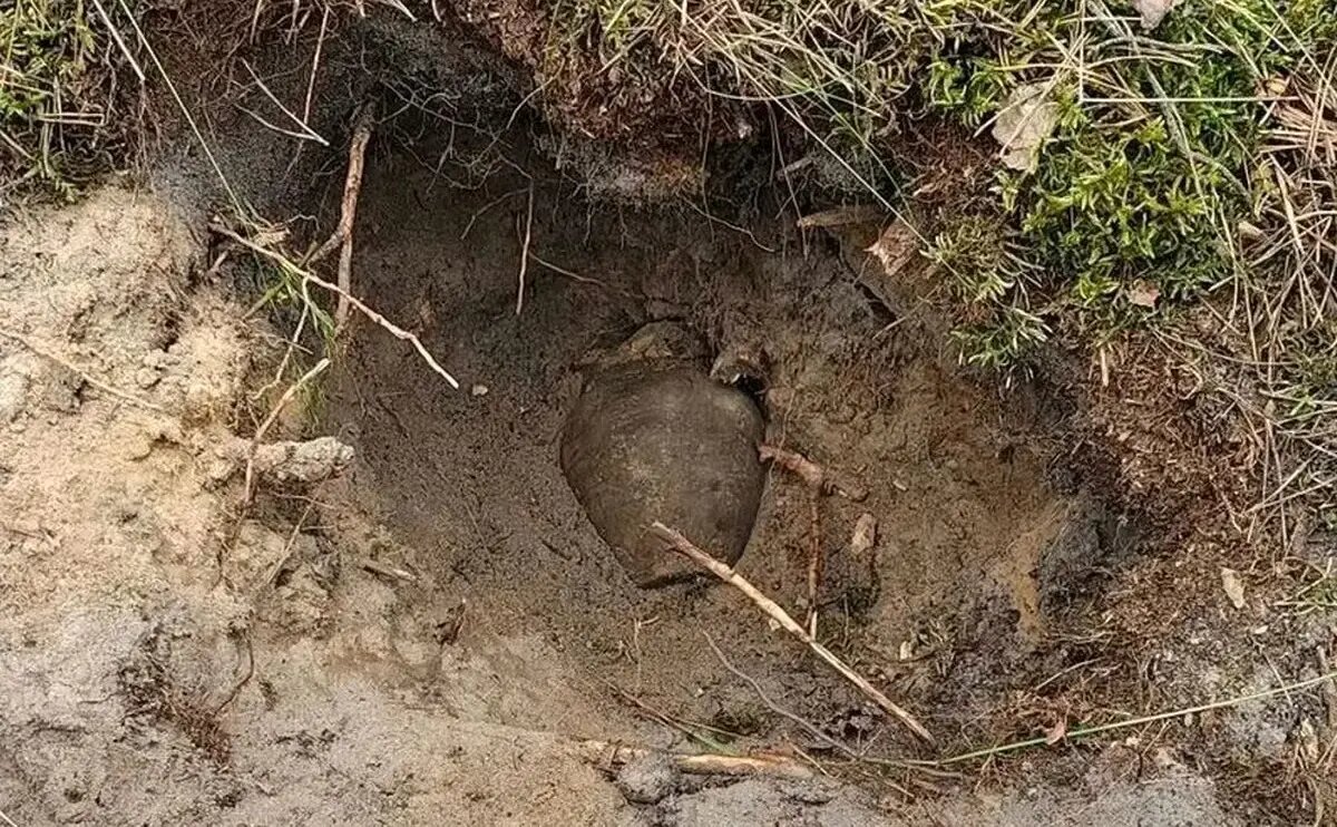 کوزه‌های گنج